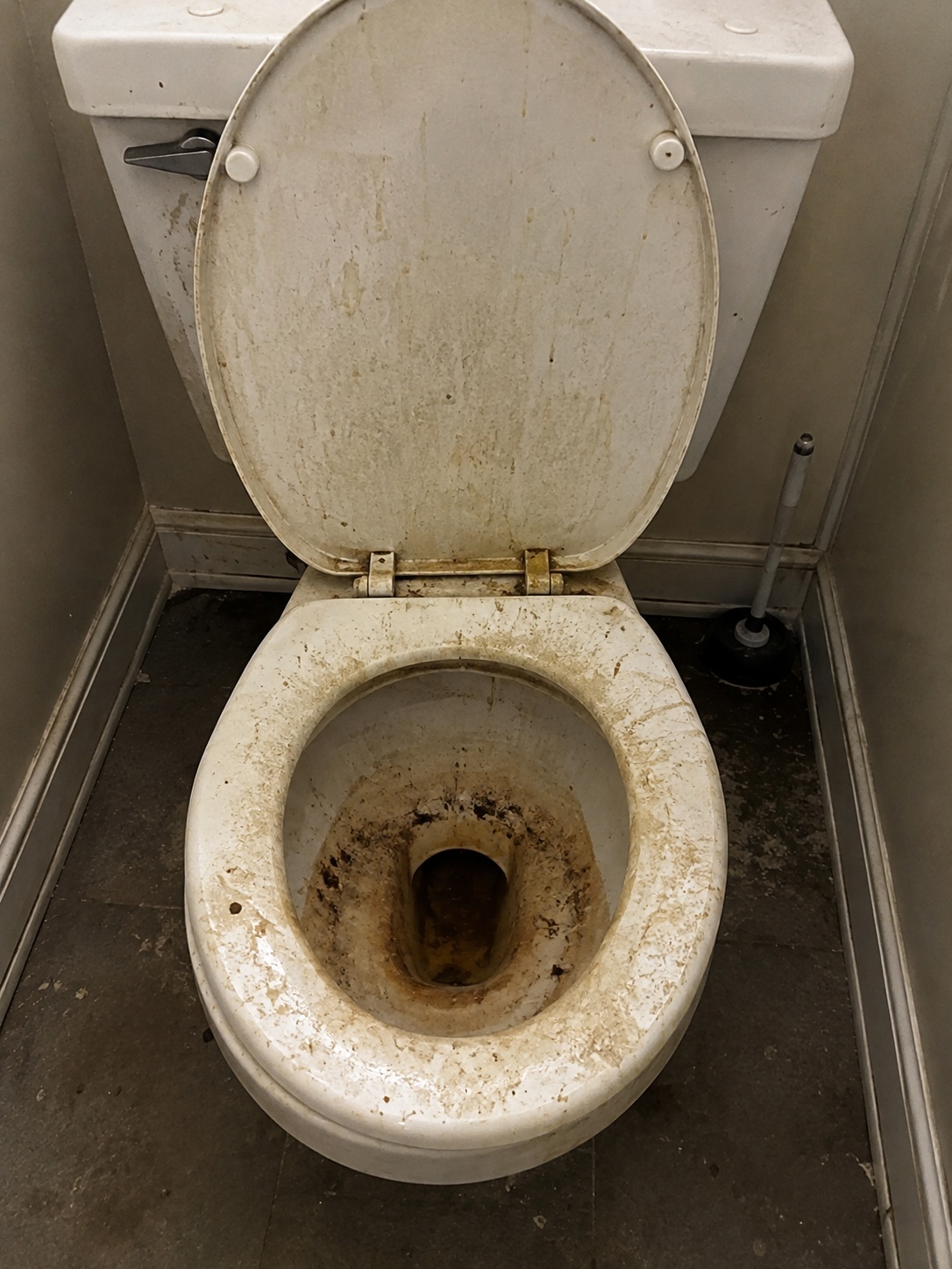 Before cleaning: heavily soiled toilet